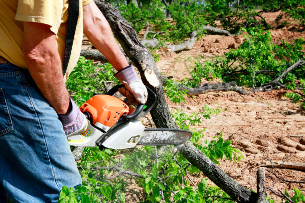 Lawn Grading and Leveling in Athens, AL